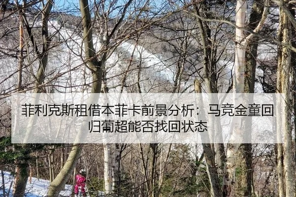 菲利克斯租借本菲卡前景分析：马竞金童回归葡超能否找回状态